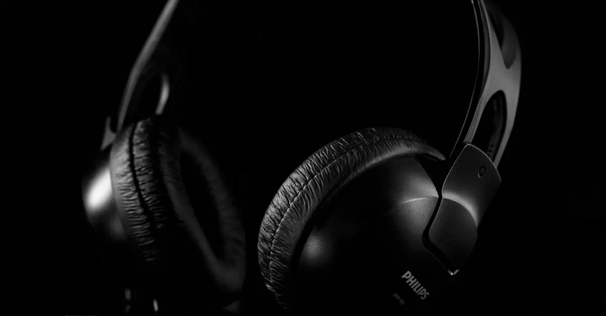 Análisis de las mejores marcas de auriculares HiFi